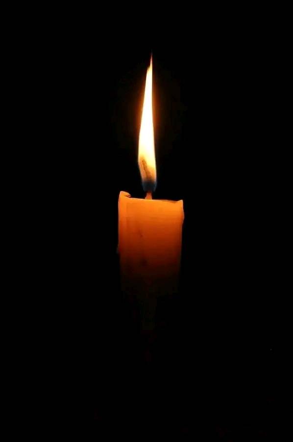 Lisa Davies Obituary Toronto, Ontario Death